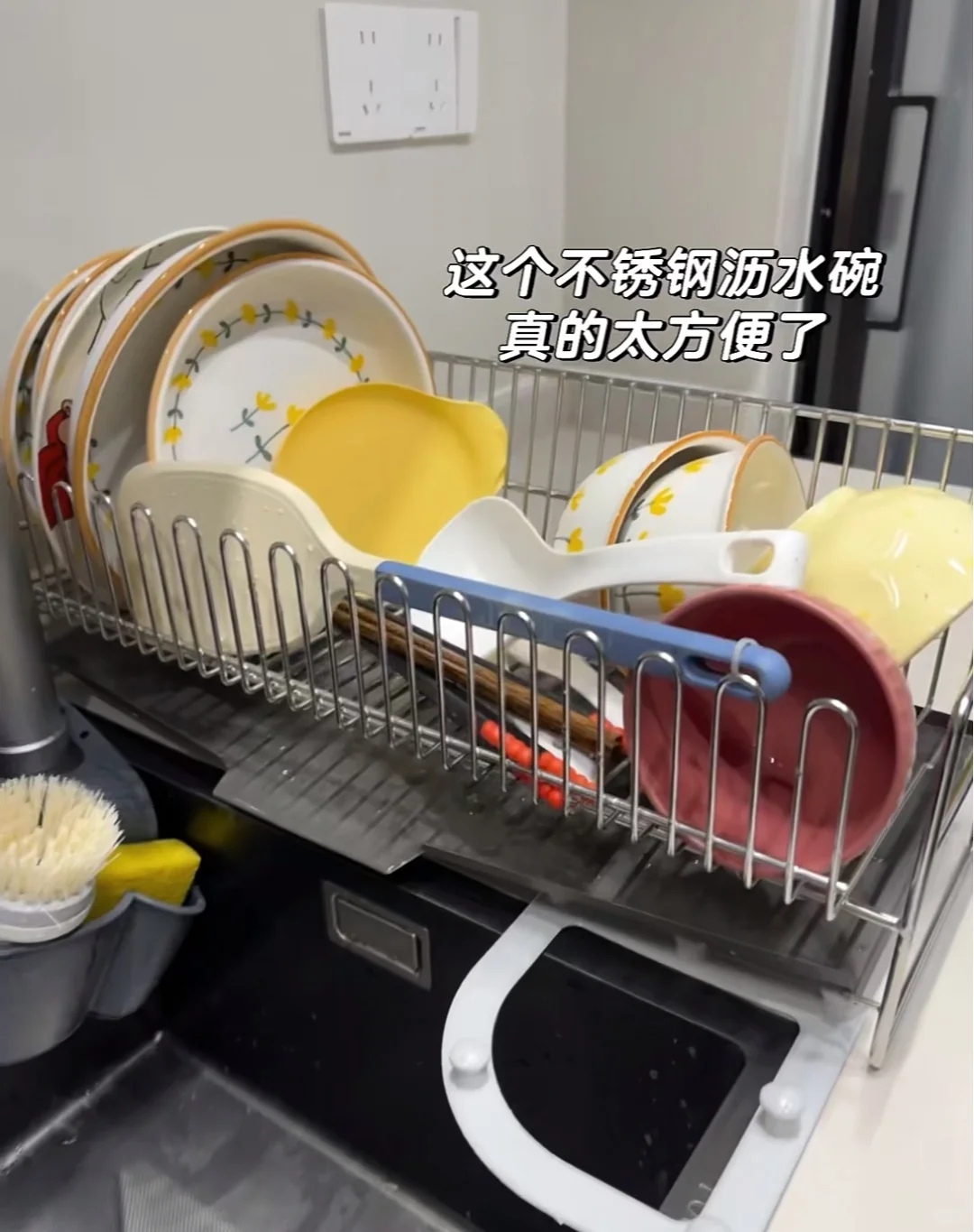 救命?新家怎么能少得了他们幸福感up‼️