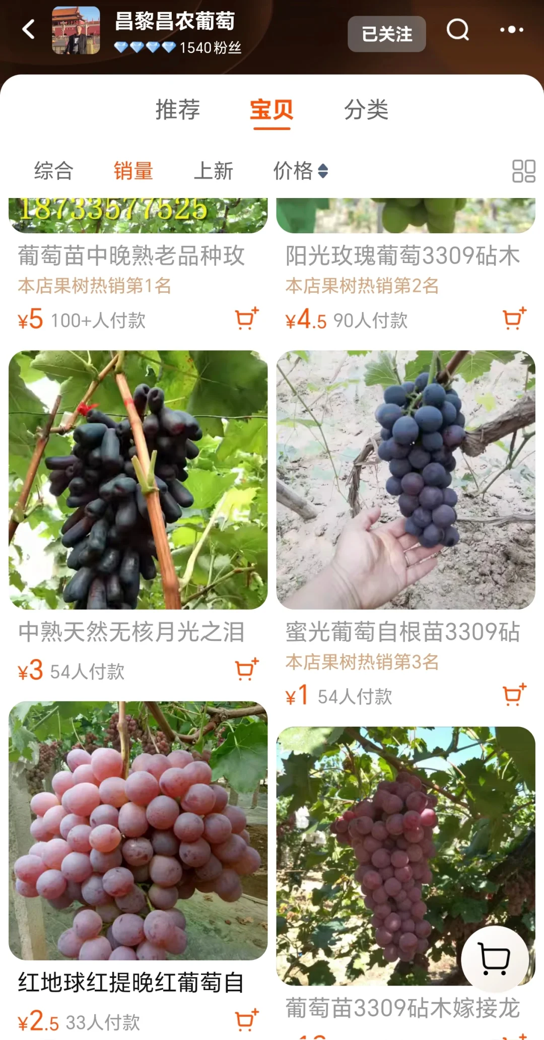 葡萄苗靠谱店铺大全(2块一棵,快冲)