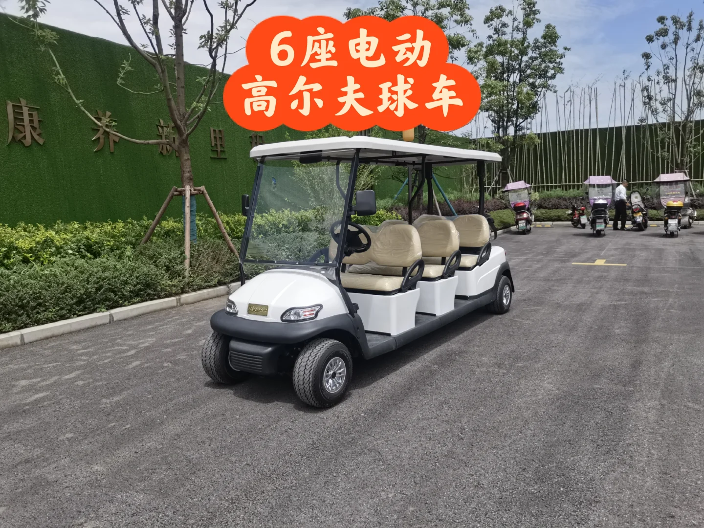 6座电动高尔夫球车