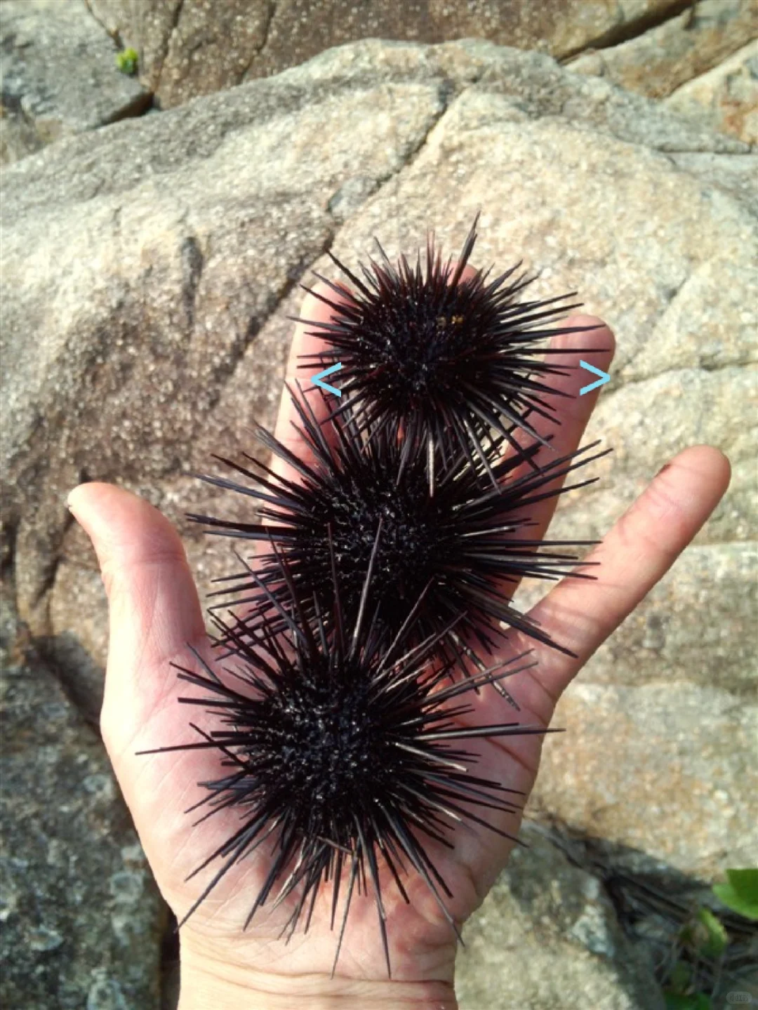 理性认识聚酯纤维,不无脑黑,也不无脑吹!