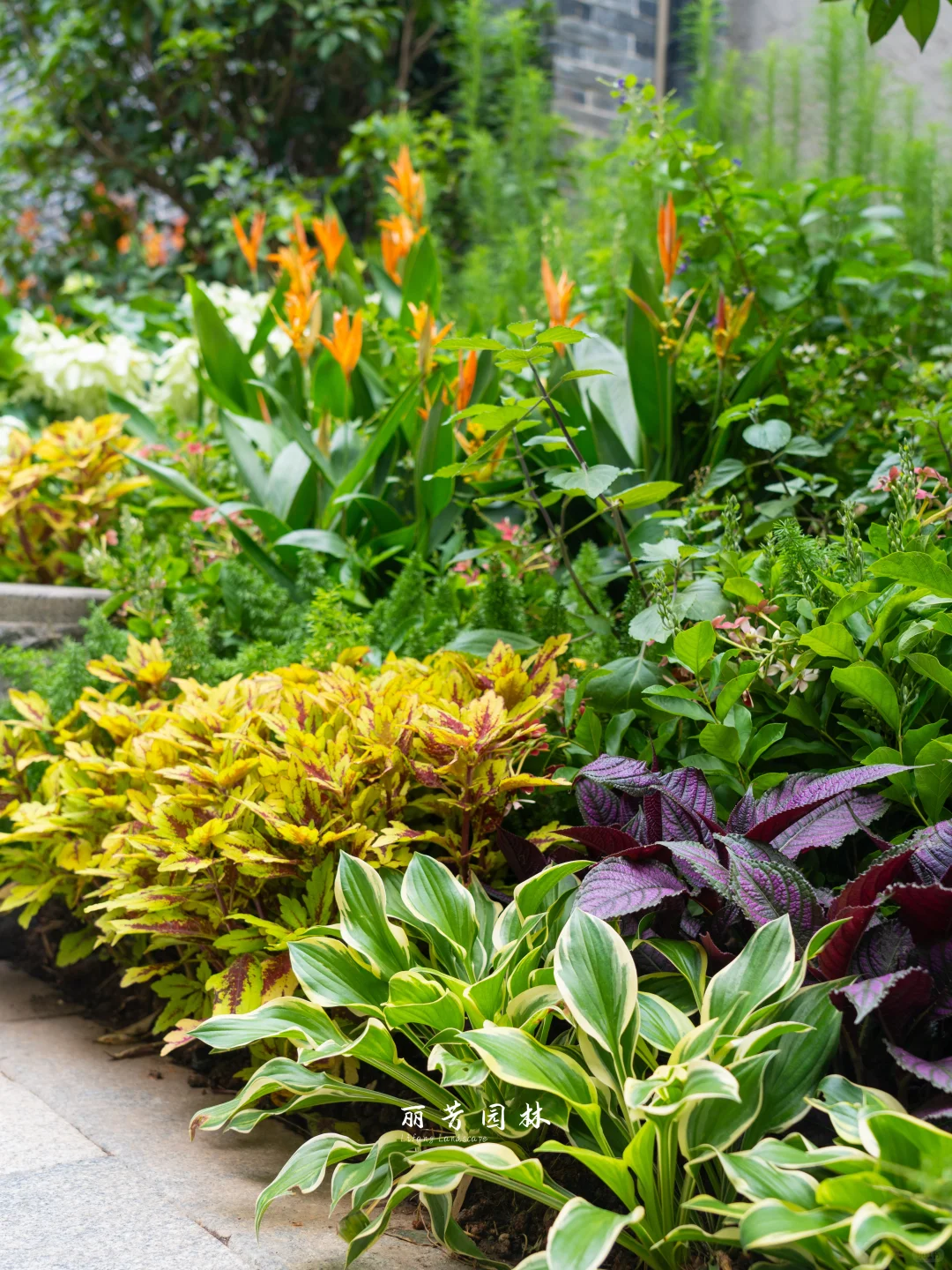 如何拥有层次丰富且易维护的长效花境景观?