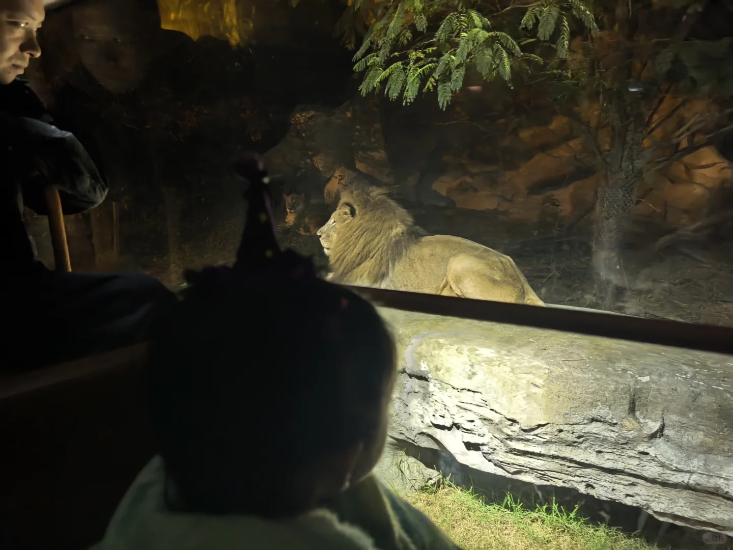 银基带娃省钱省力邪修玩法