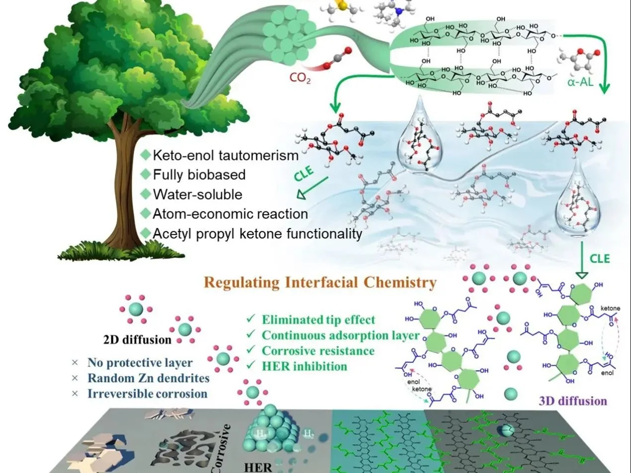 生物基多功能纤维素乙酰丙酸酯调控界面化学