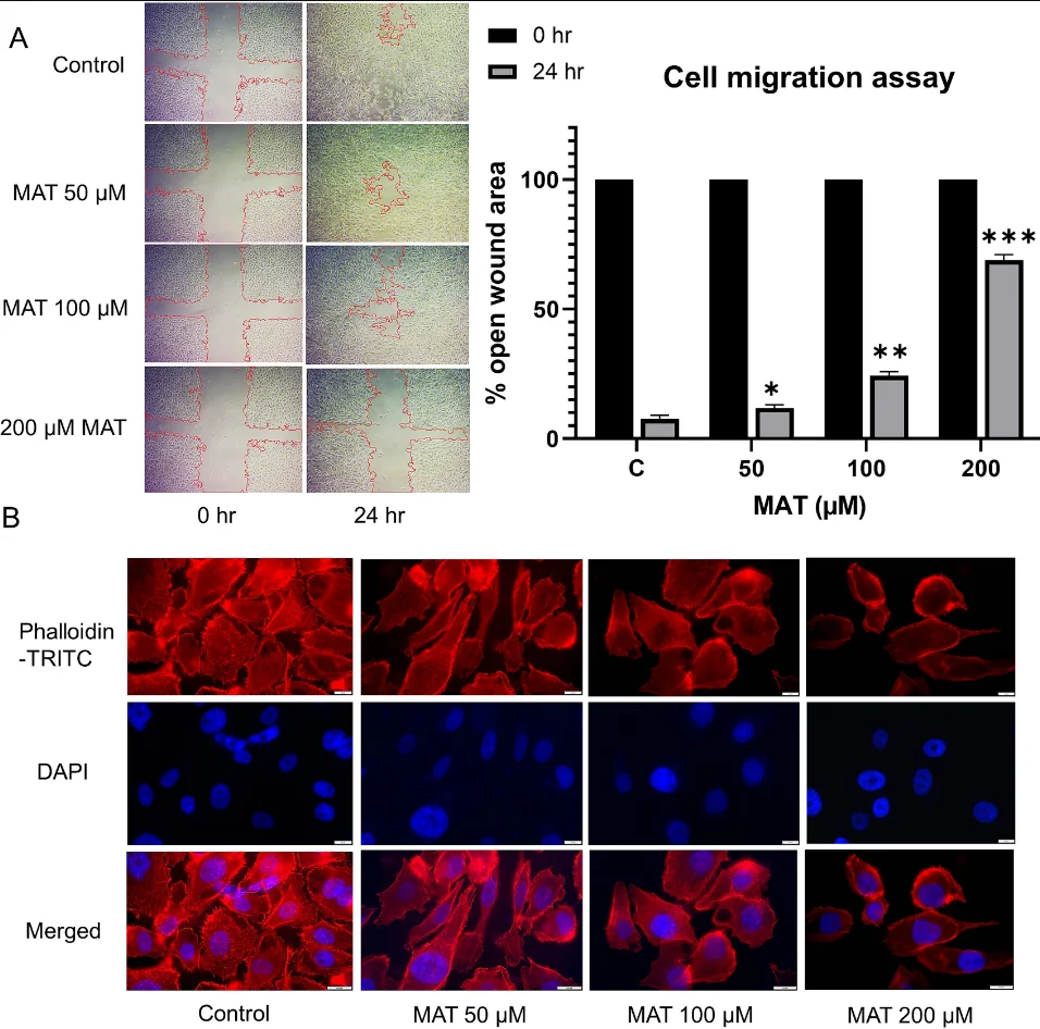 IF8.7网络药理学+生物信息学