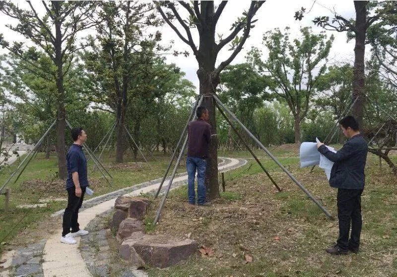 必存|号苗那些事儿