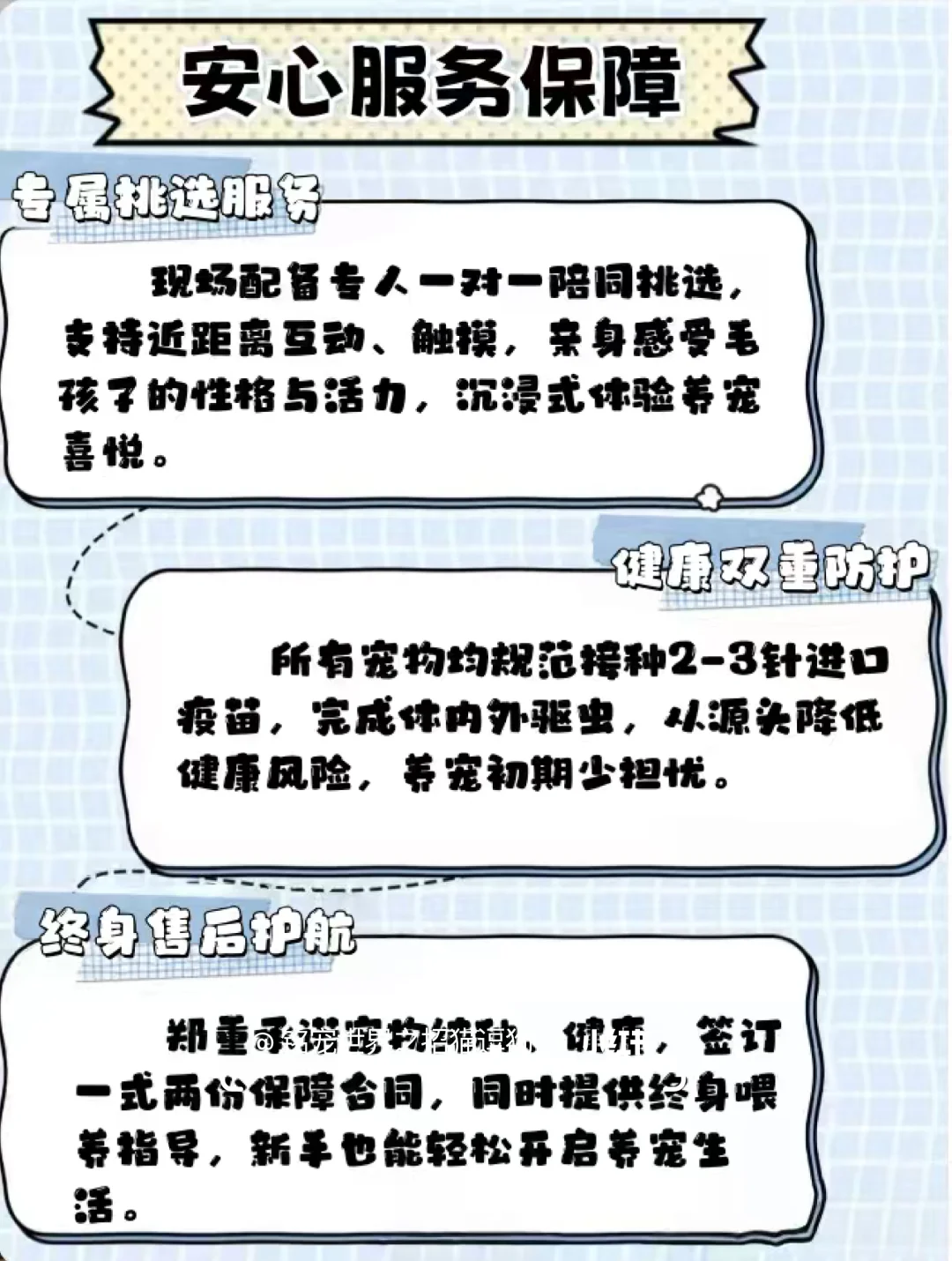 北京养宠人狂喜?挖到一家神仙犬舍!