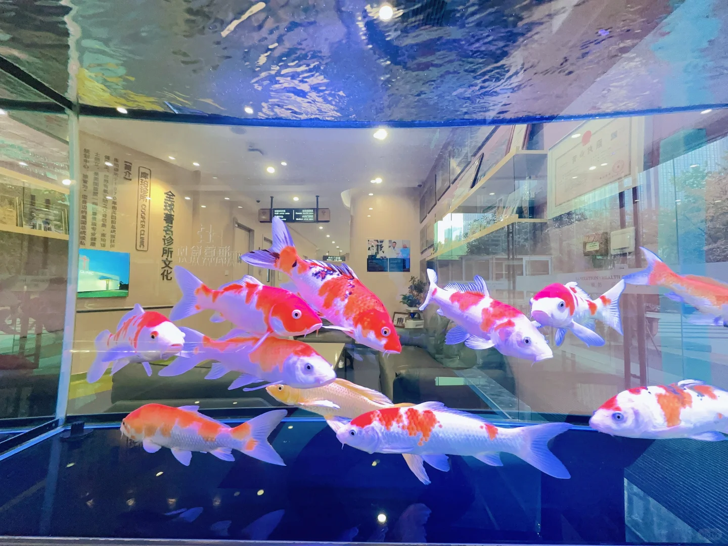 海蓓女性专项体检,直接一个wooc!