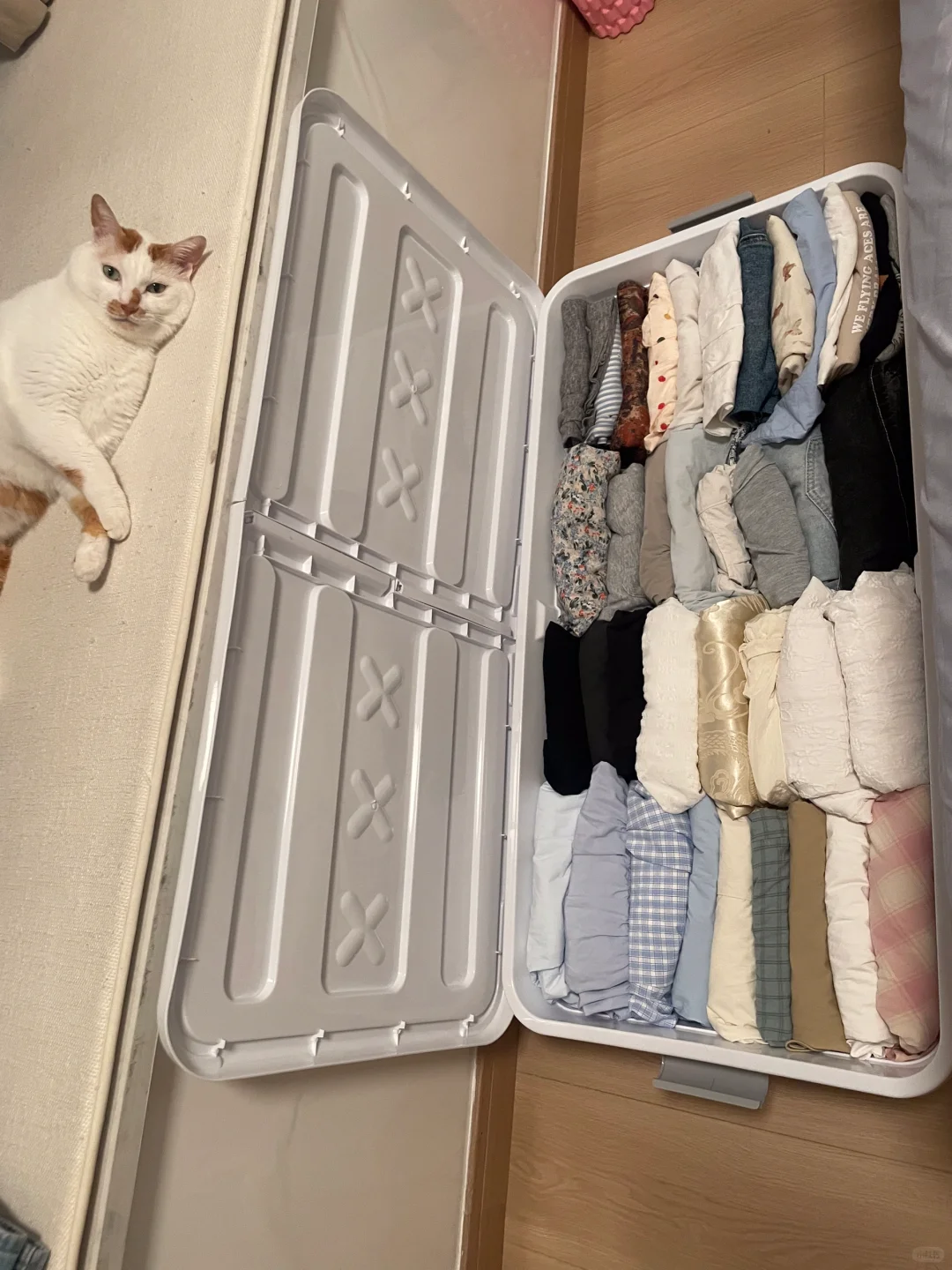 救敏！谁大半夜还在换季大整理啊！是我！?