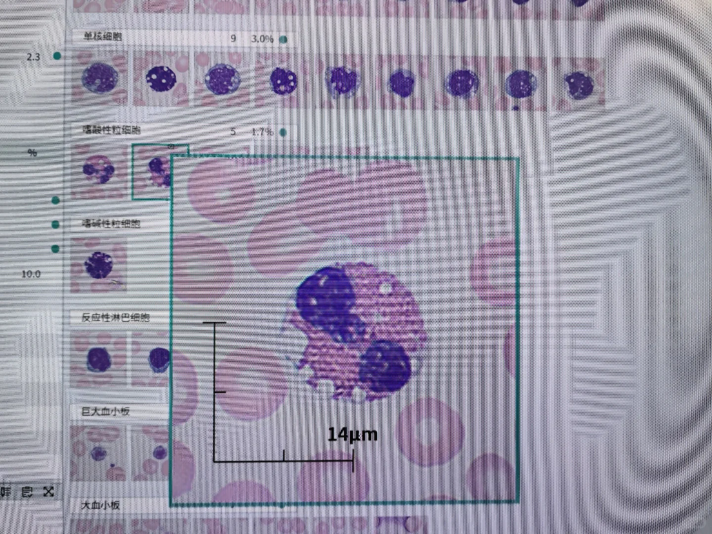 此“Jordan”非彼“Jordan”