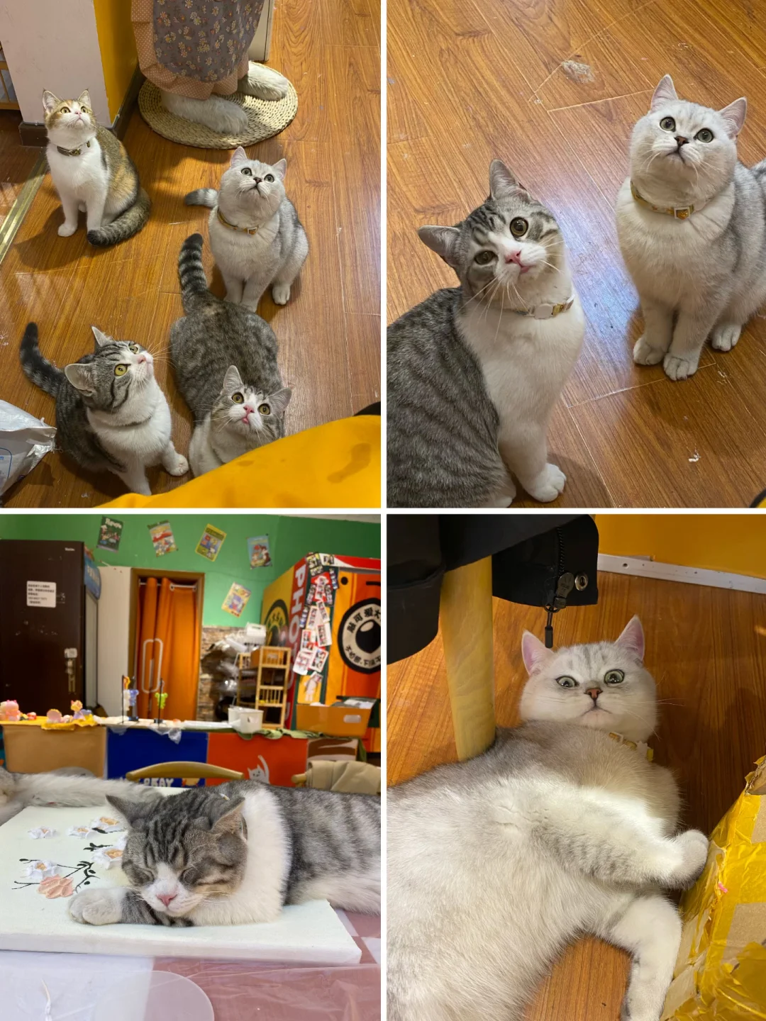 重庆可以玩一整天的手工店✨