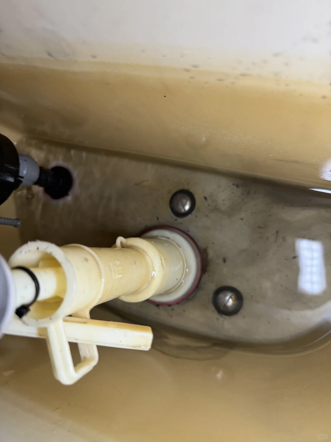 马桶漏水维修 + 电灯短路排查