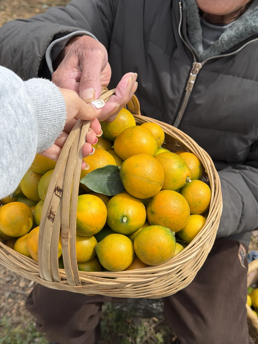 没有中间商，每一颗都是妈妈的爱❤️