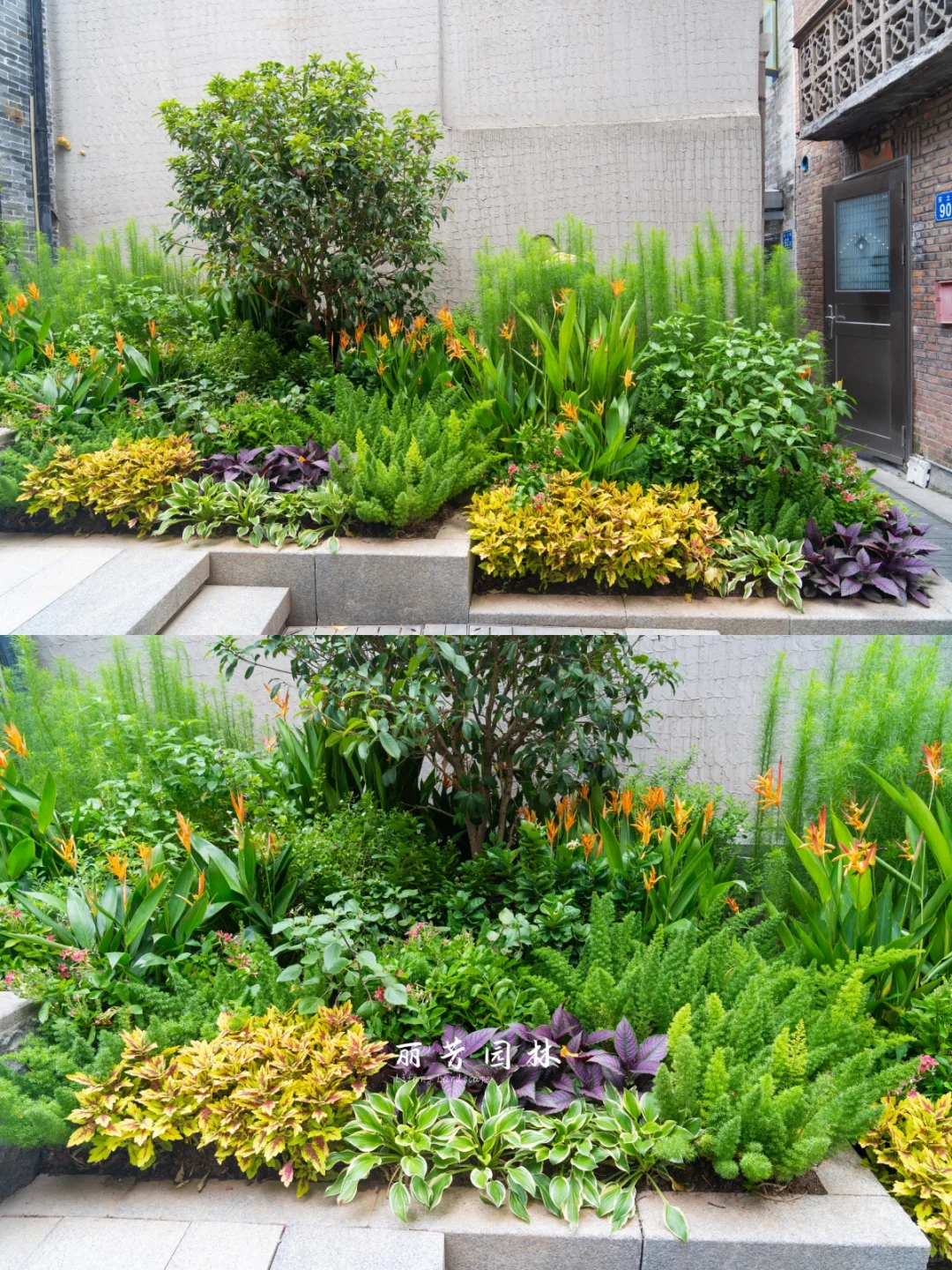 如何拥有层次丰富且易维护的长效花境景观?