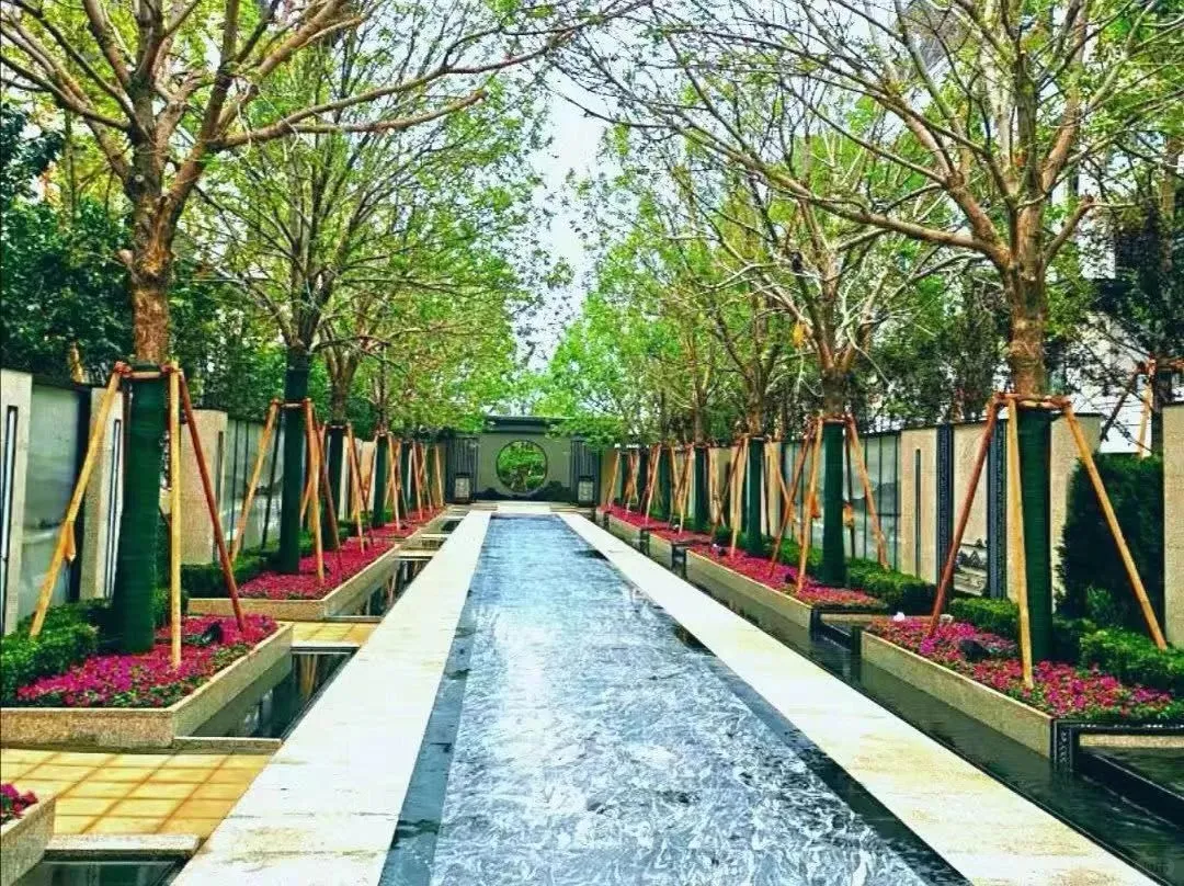 必存|号苗那些事儿