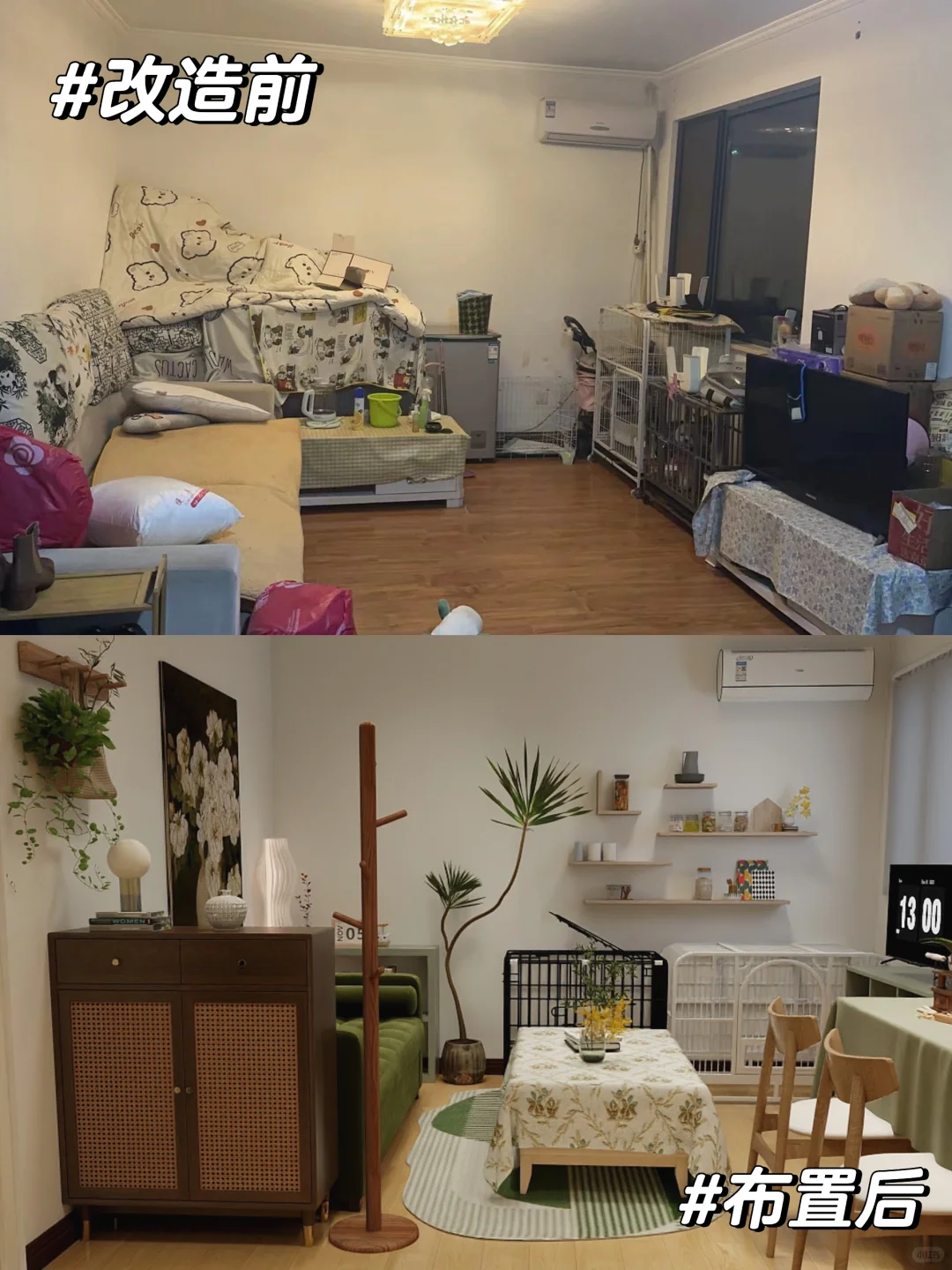 帮粉丝全屋改造小清新风❗