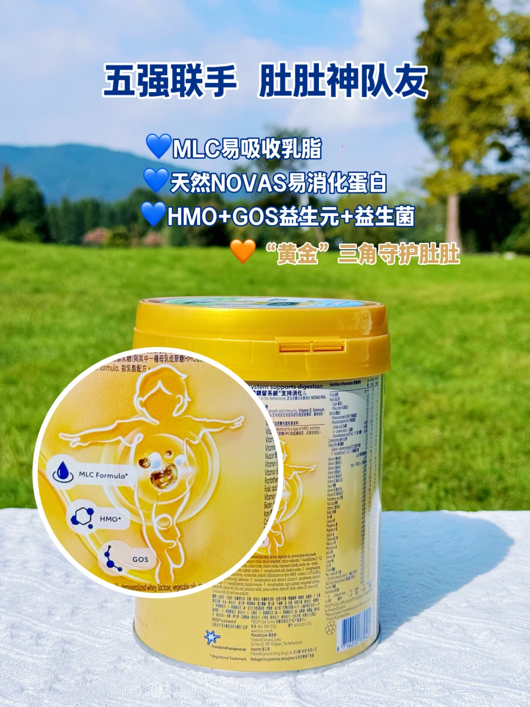 养成元气肉宝的秘诀：选对“肚肚神队友！