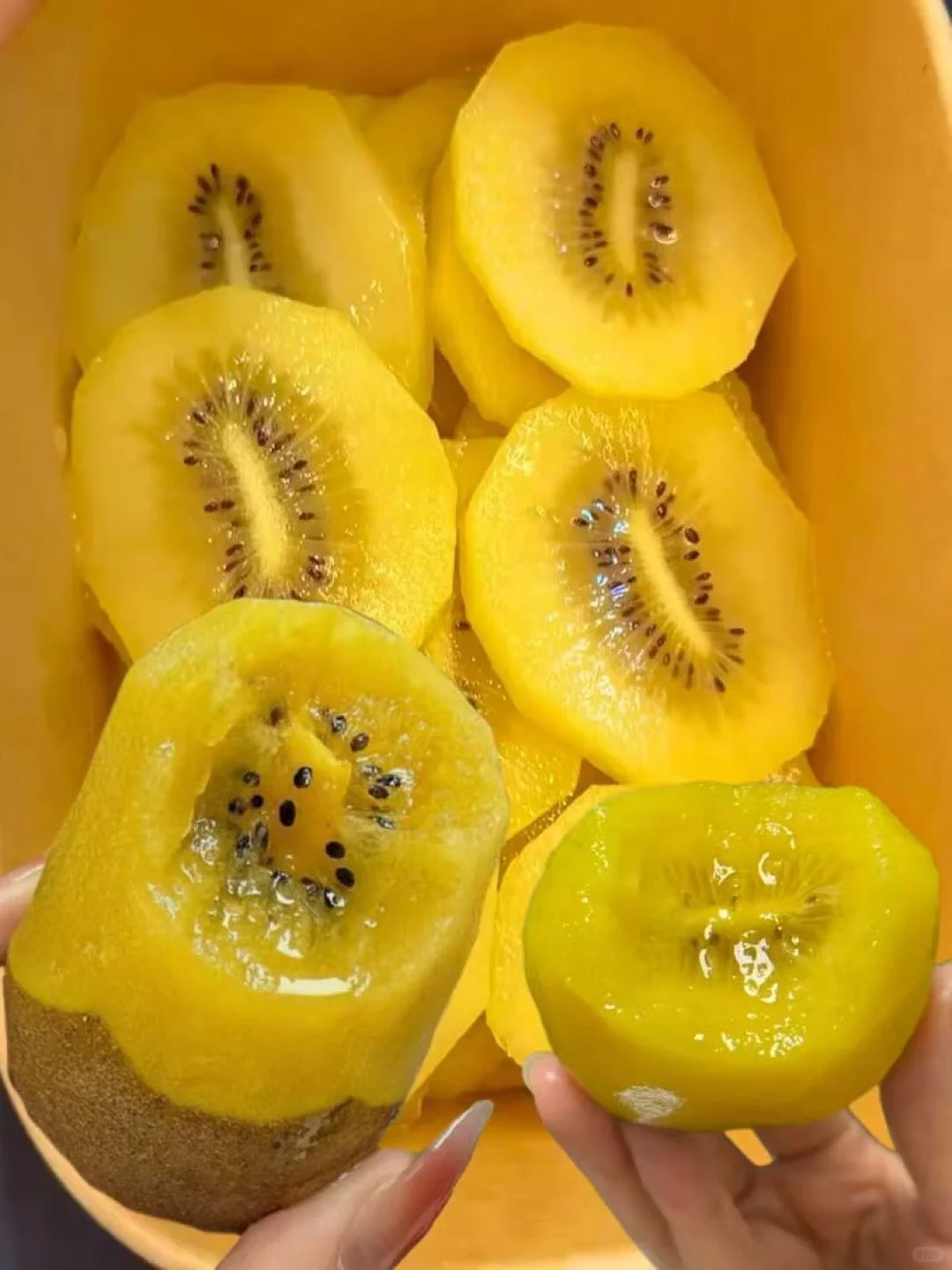 激动的心颤抖的手，好吃的猕猴桃?强势回归