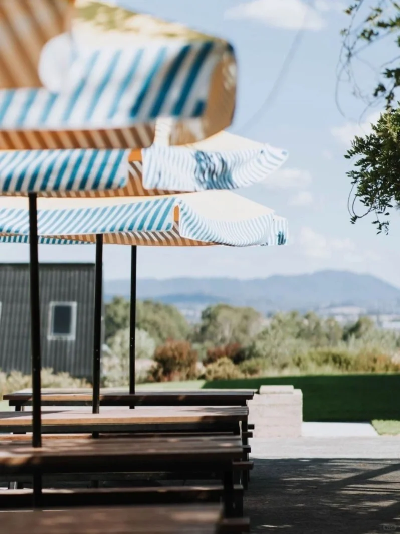 进博会邀请函‼️佐佐庄园招募品鉴官?