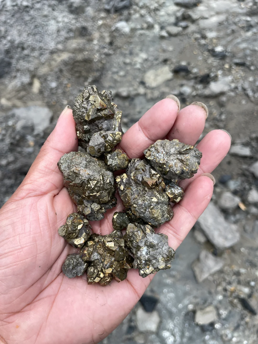 黄金矿工，采集自江苏句容灰岩里的“金疙瘩”