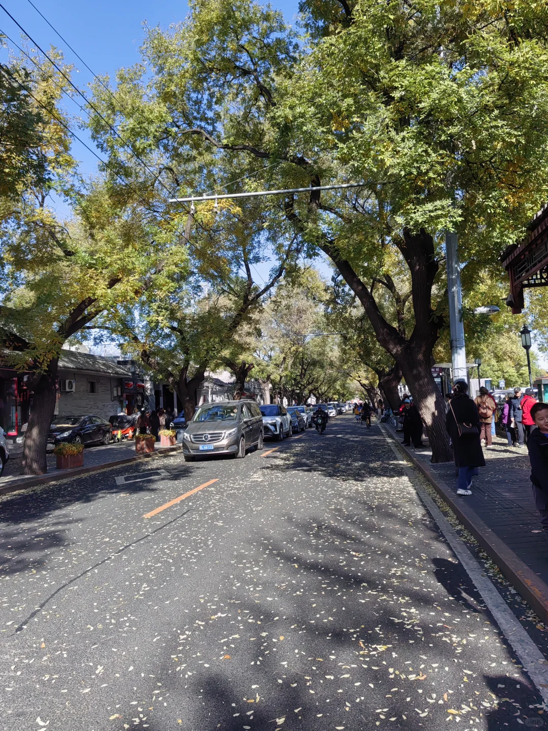 城市通勤利器,伯希和冲锋衣的体面守护