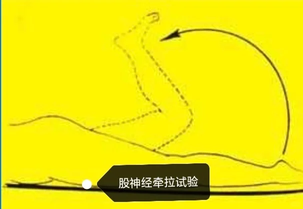 特殊检查相关试验