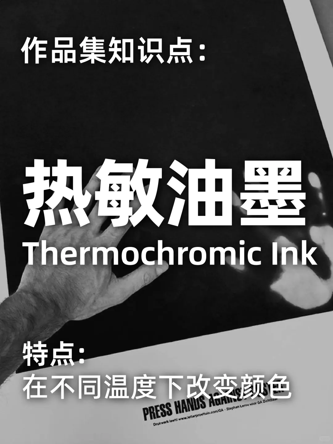 作品集知识点:关于