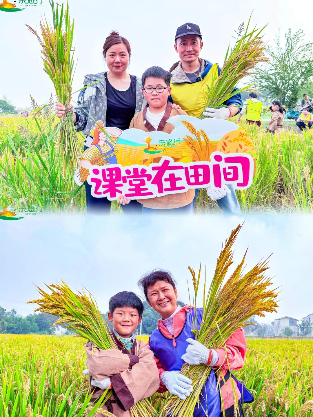 无锡亲子|课堂在田间、农耕研学