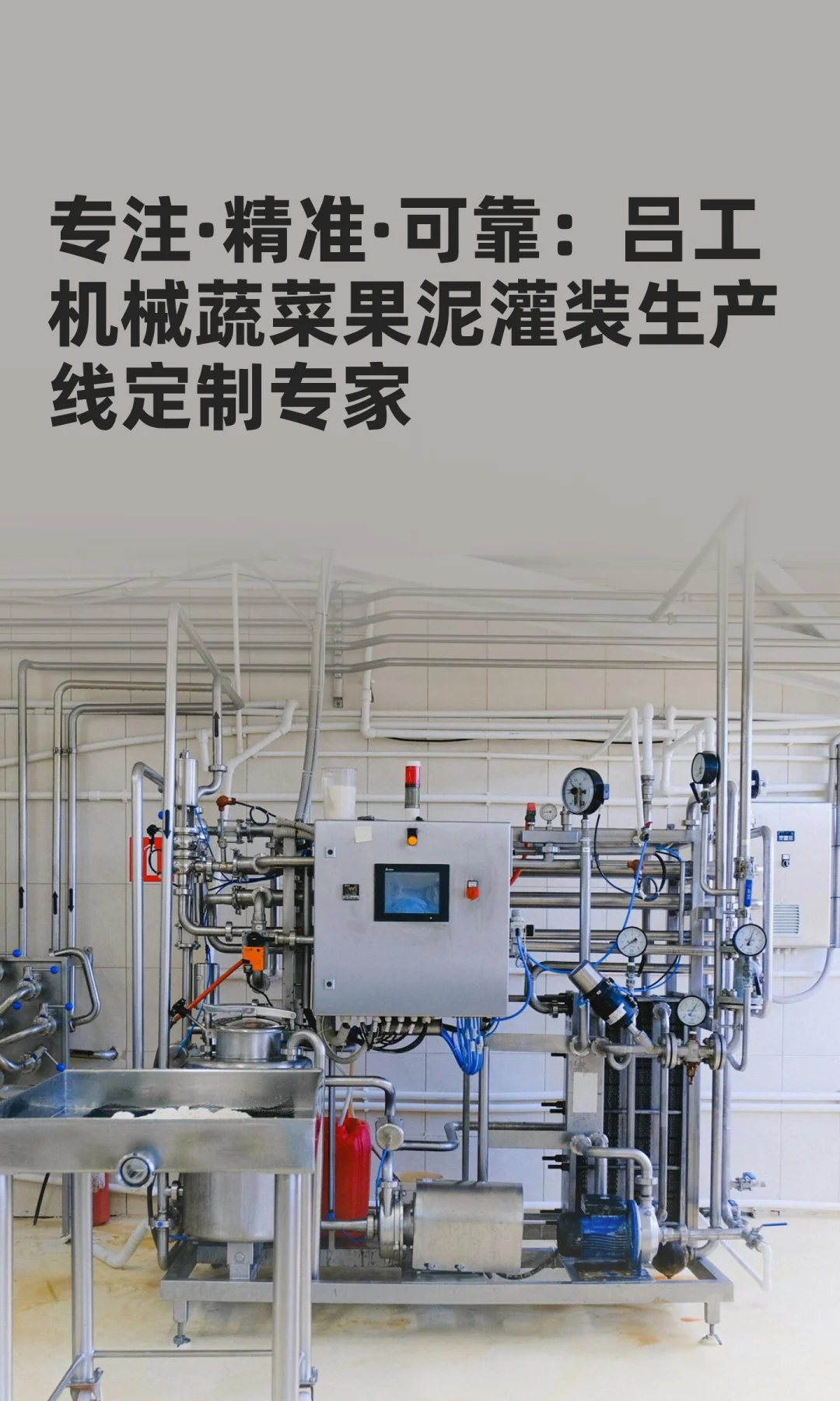 专注·精准·可靠：蔬菜果泥灌装生产线定制