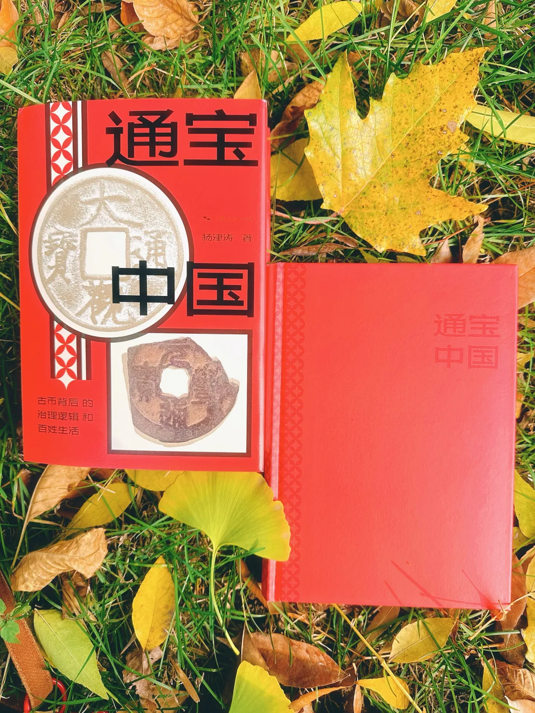 ?三千年货币史,读这本就够了❗️