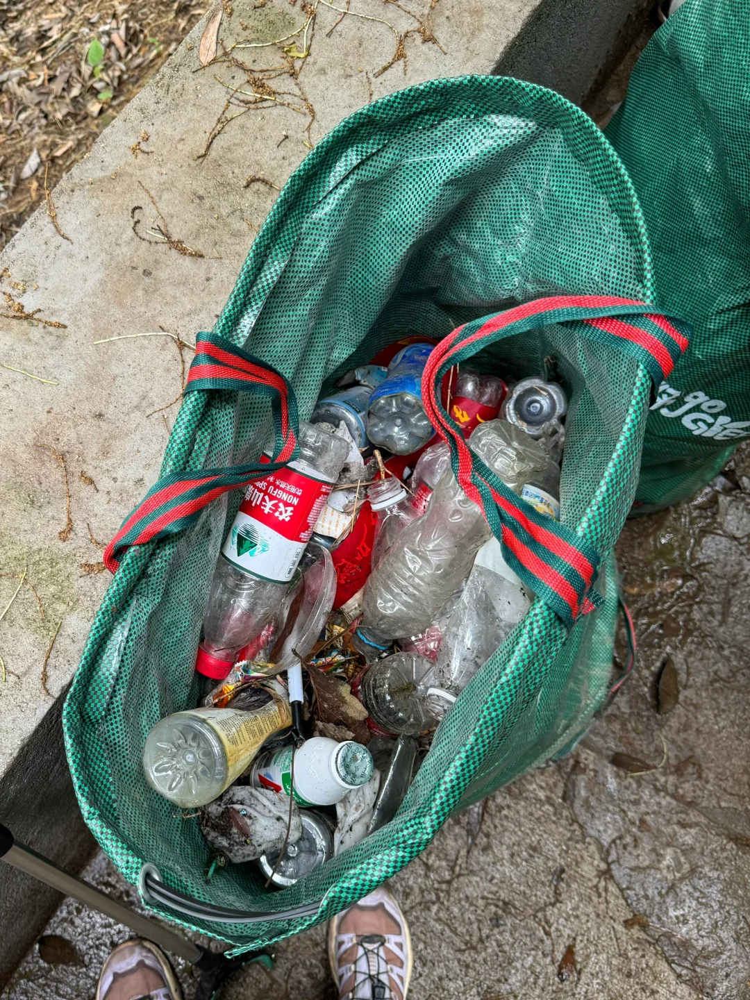 如果这个周末 你也进山