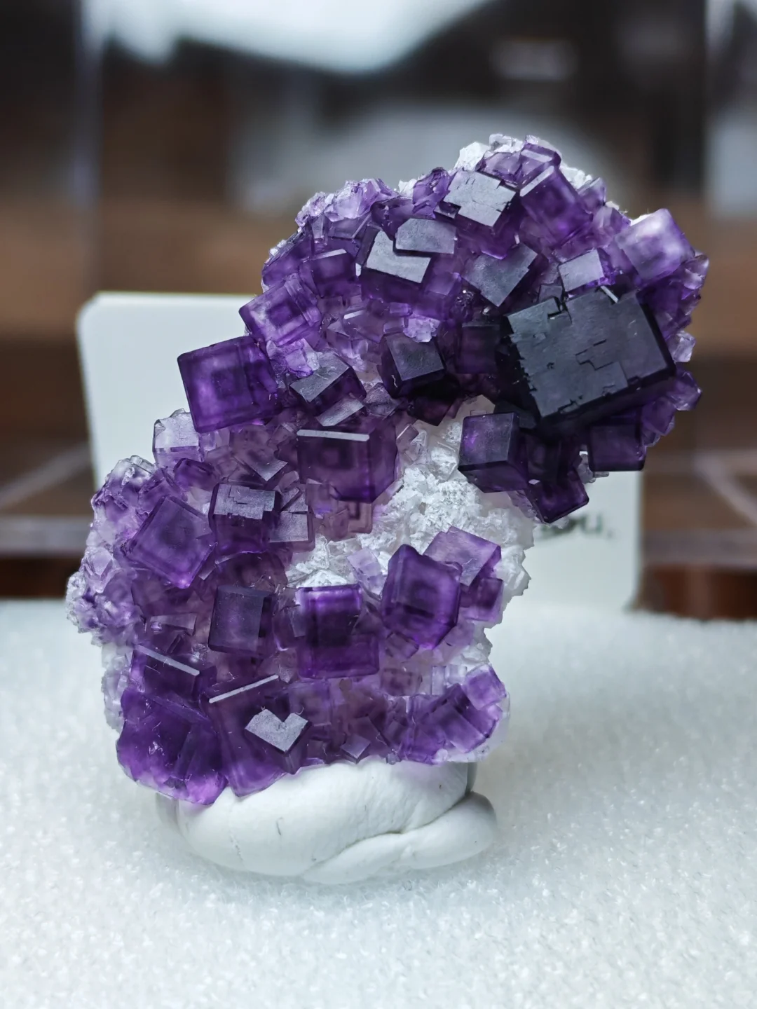 2025年矿标收藏分享⑥