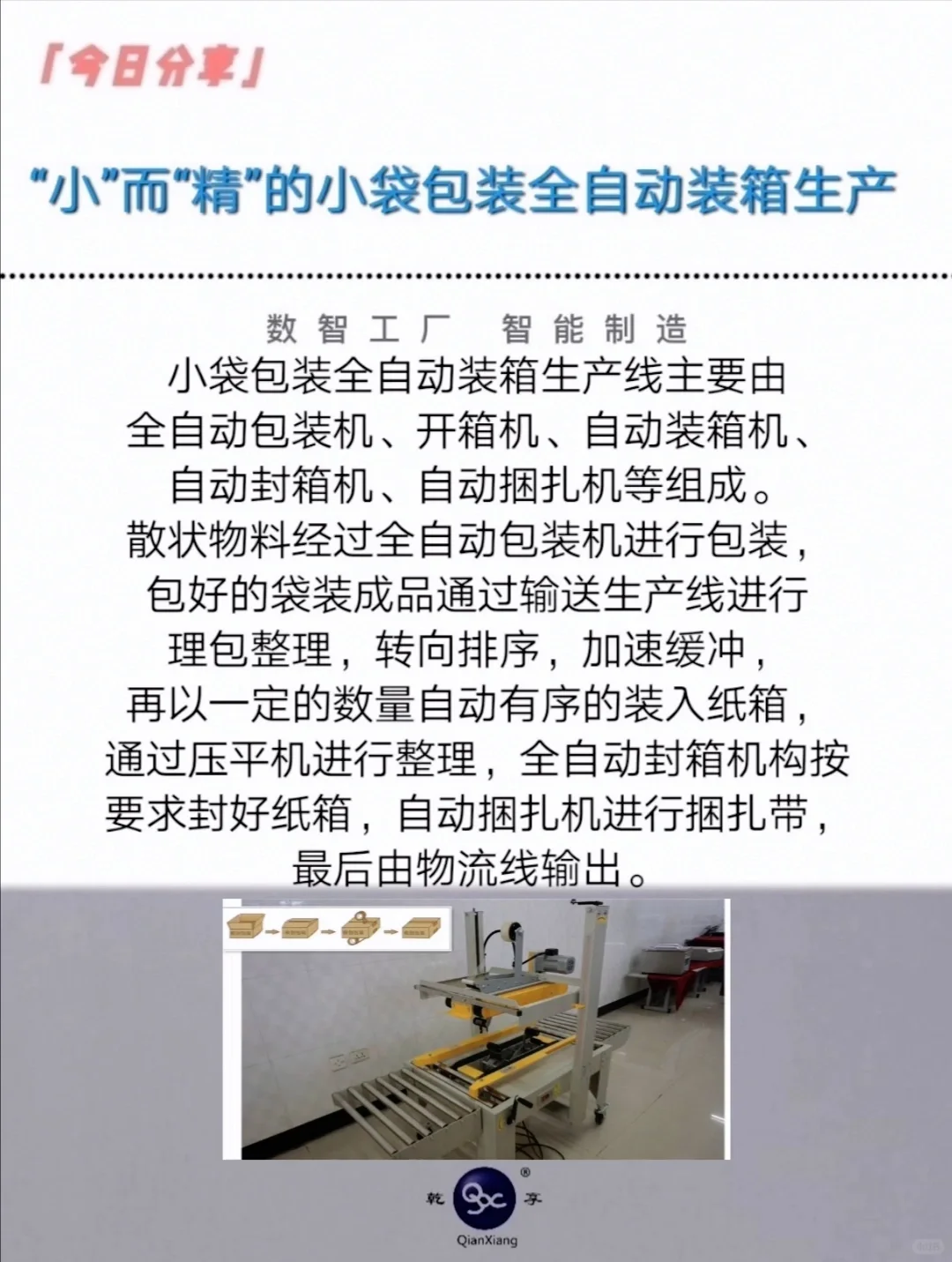 “小”而“精”的小袋包装全自动装箱生产线