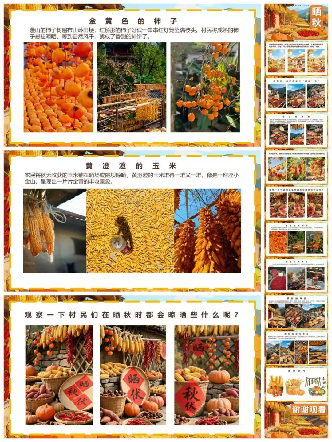 晒秋~秋收冬藏~少儿创意美术课程PPT分享
