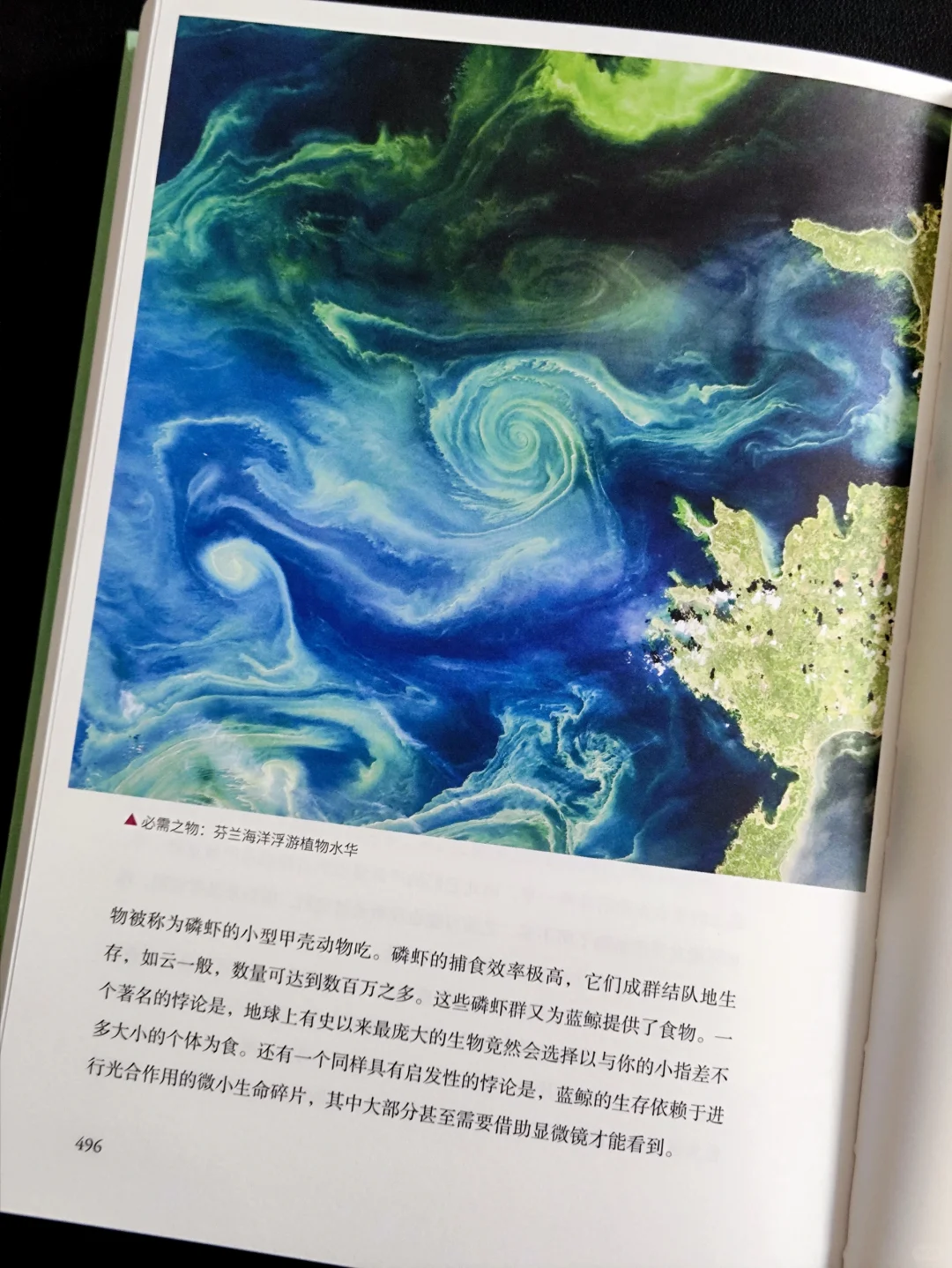 无言的陪伴:植物如何塑造人类文明❓