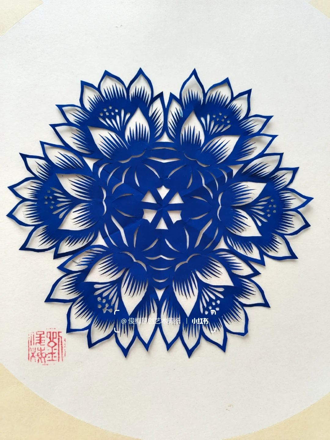 每日一剪｜夏之荷