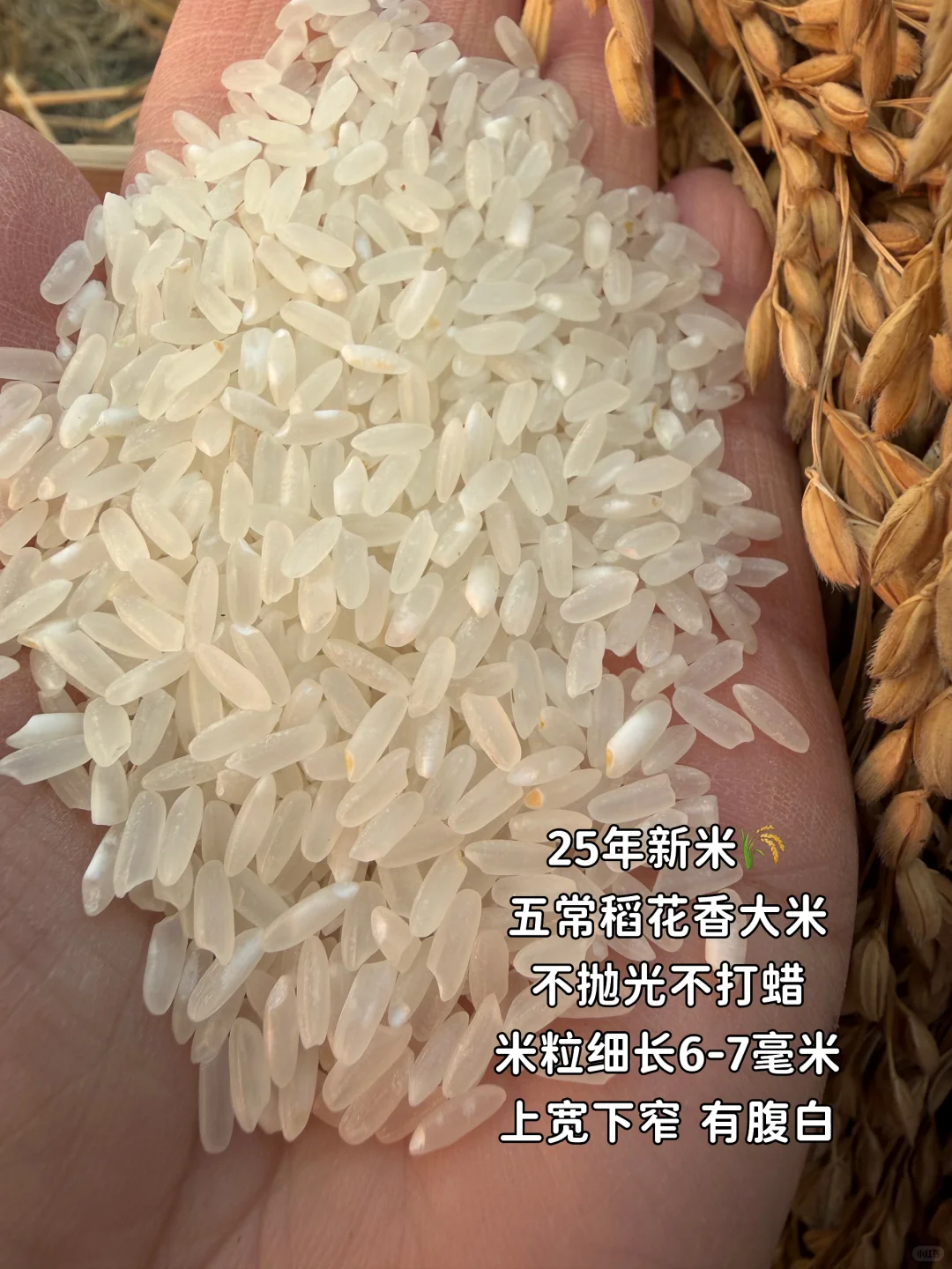 25年新米上市?5斤试吃装，原产地发货！