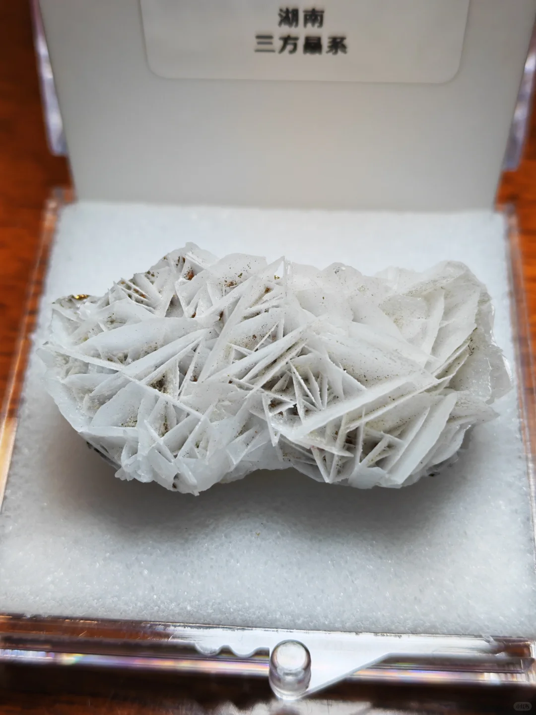 2025年矿标收藏分享⑥