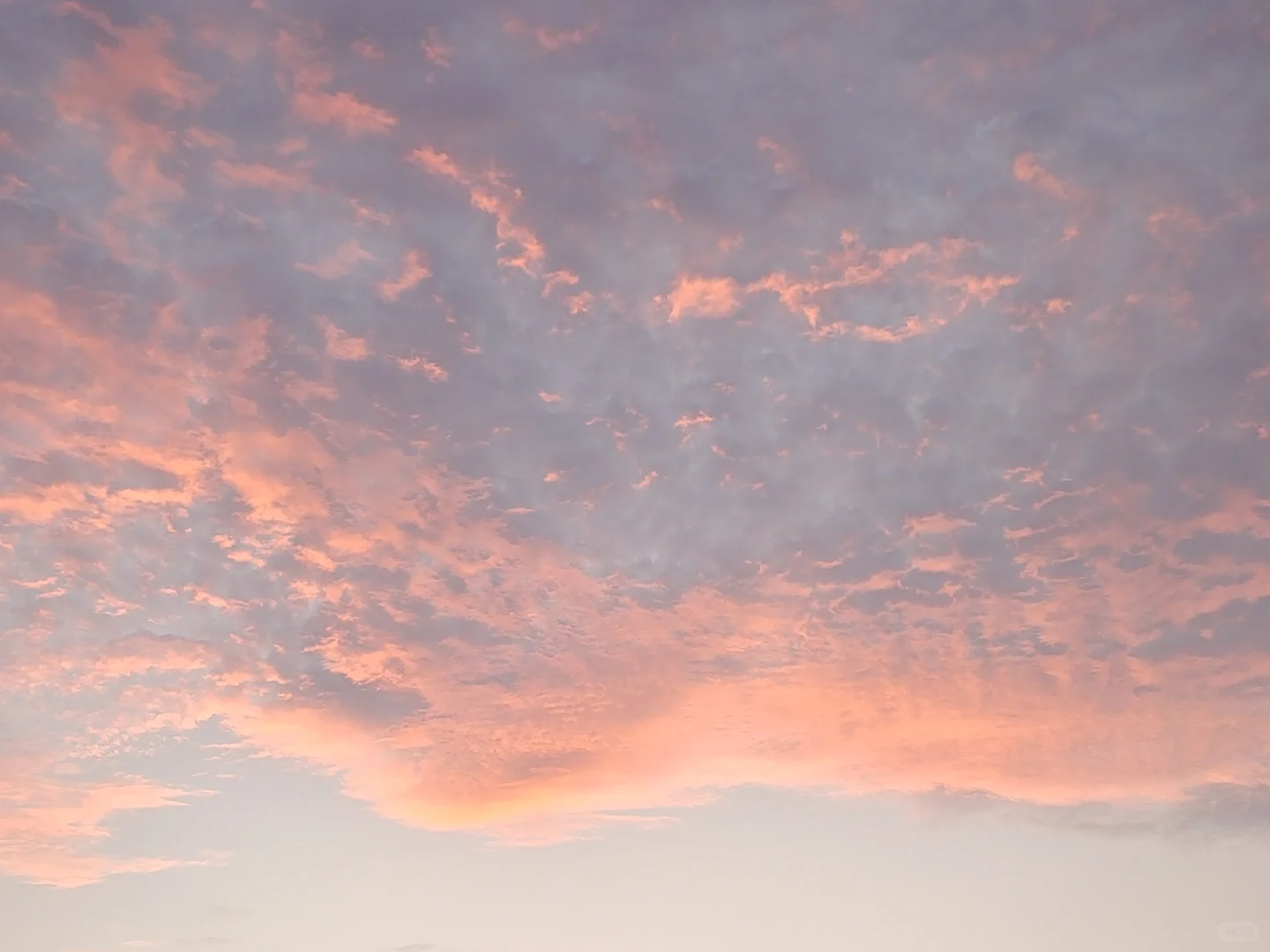 药物分析工作日常?|高效液相仪器使用