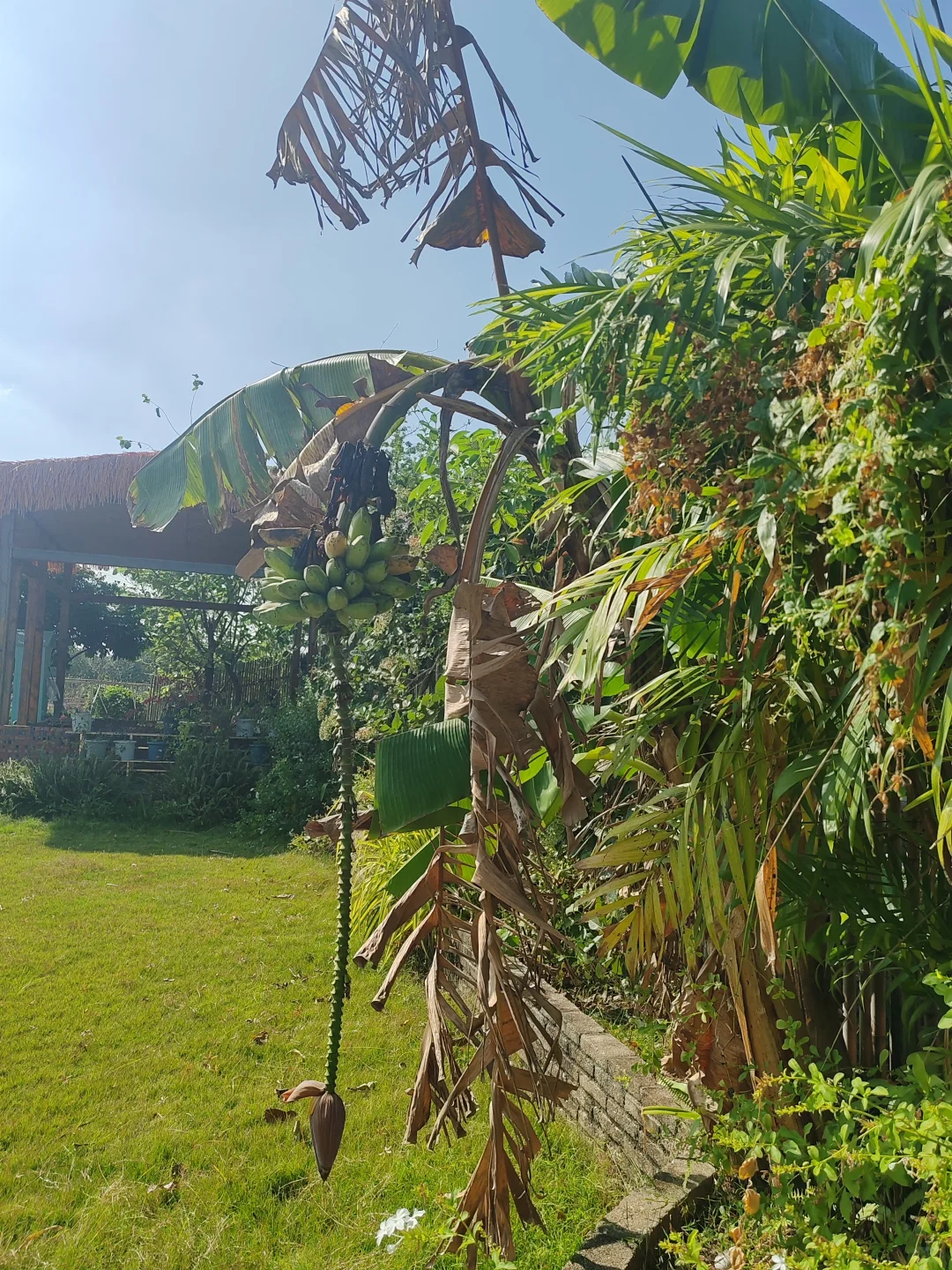 “听袁爷爷的话，好好吃饭，好好长大”