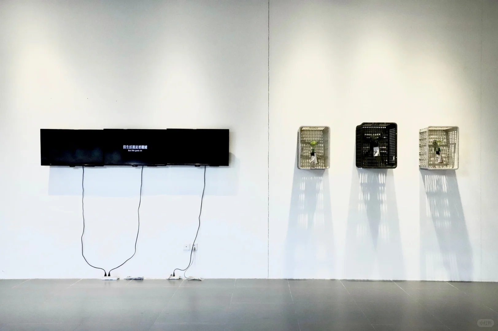 Award360°年度100|明天我们吃什么