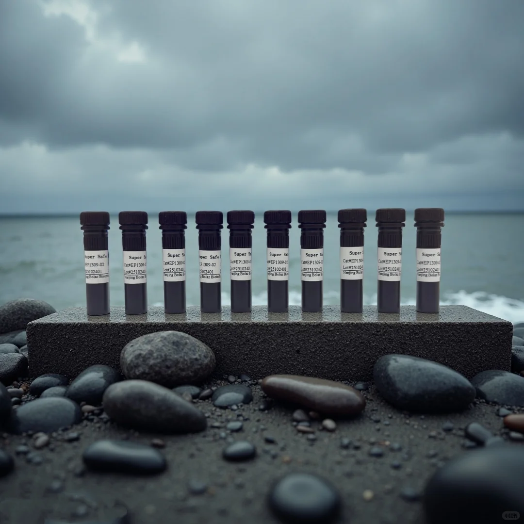 Super Safe 核酸染料(10,000× 水溶液)