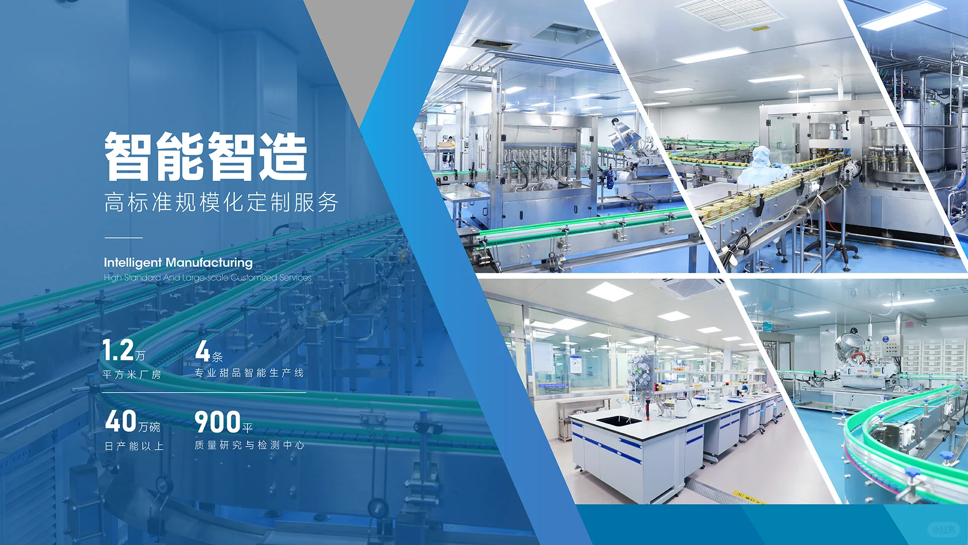 恒源健康(厦门)食品科技有限公司概要