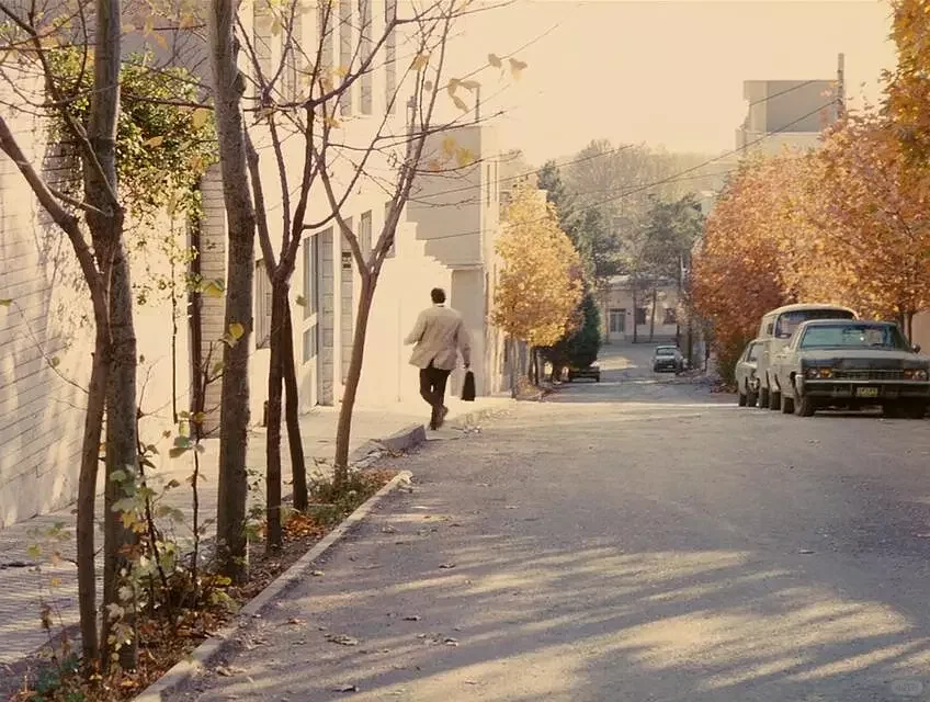 记者节点燃影像之灯!阿巴斯《特写》的温情