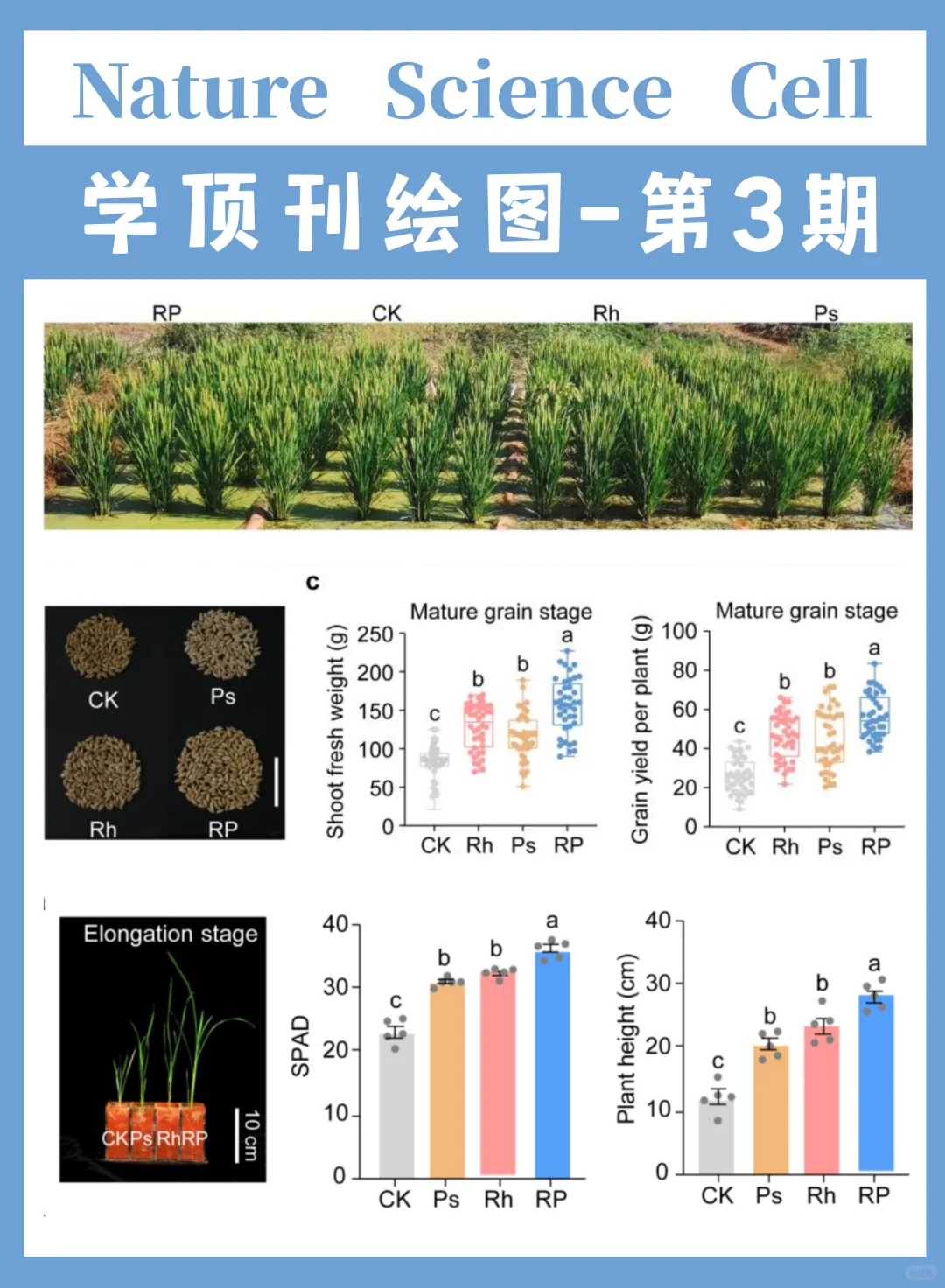 ?SCI顶刊配色3|被导师夸爆的绘图配色❗