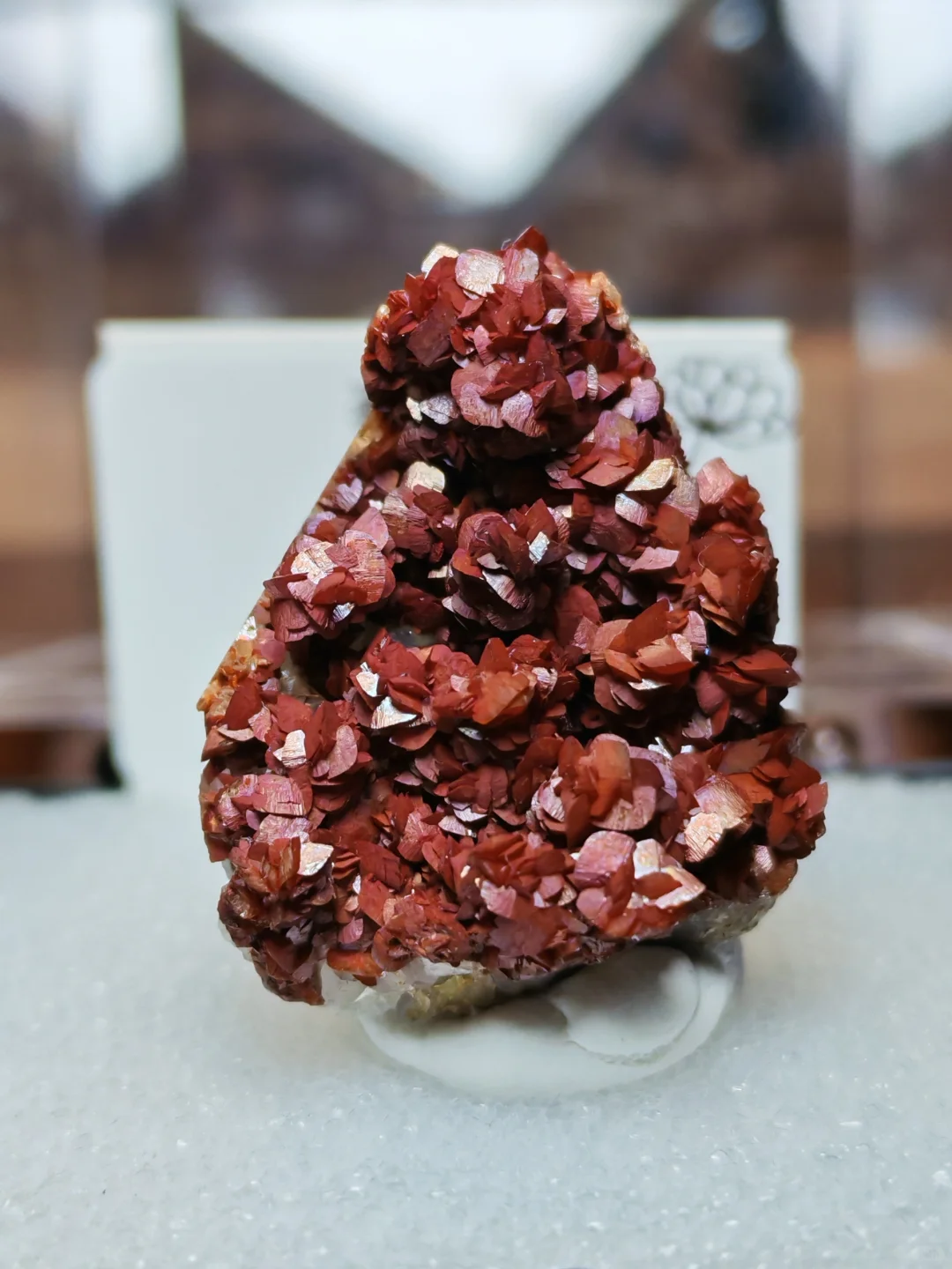 2025年矿标收藏分享⑥