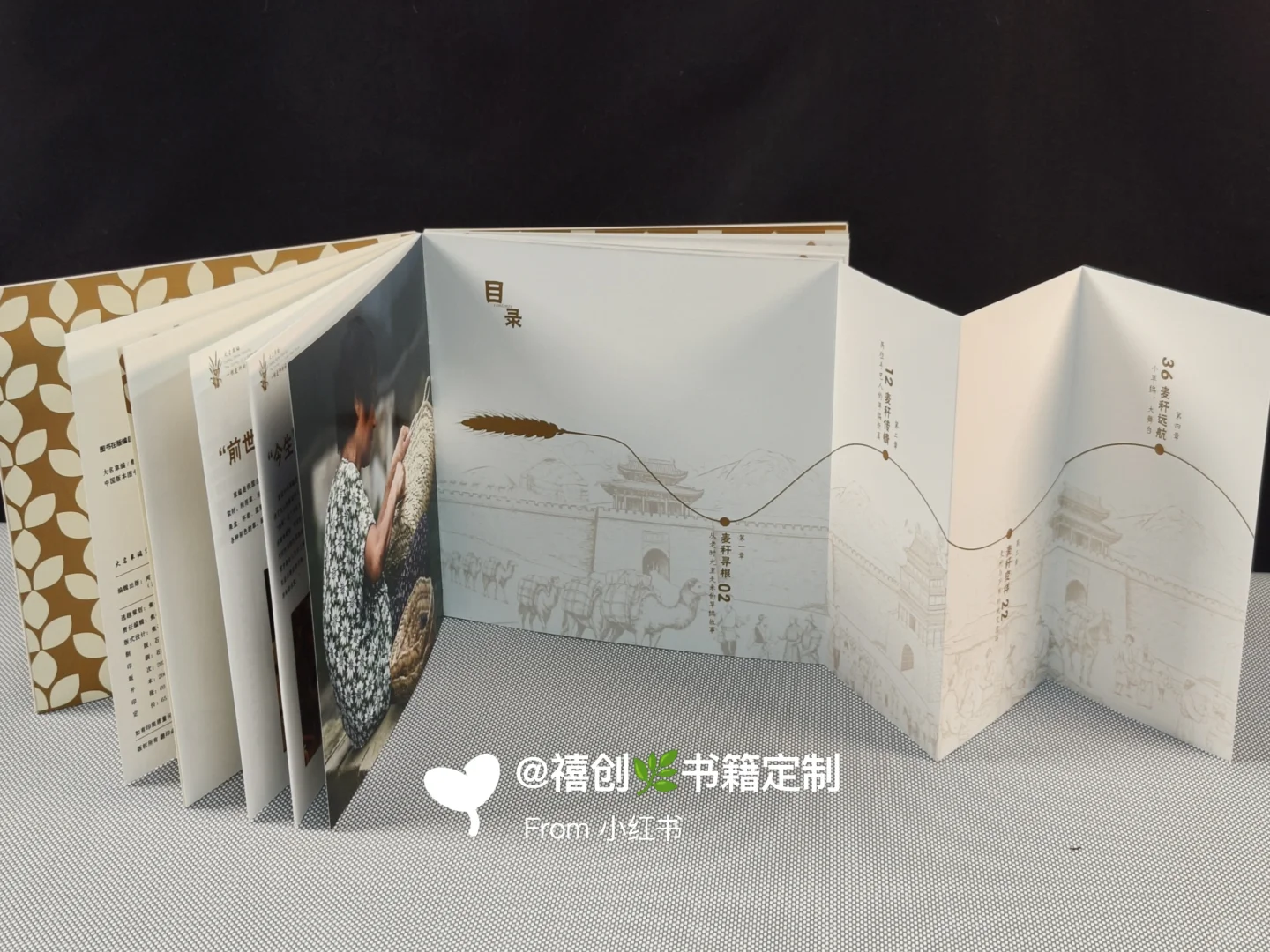 书籍拉页的应用方式