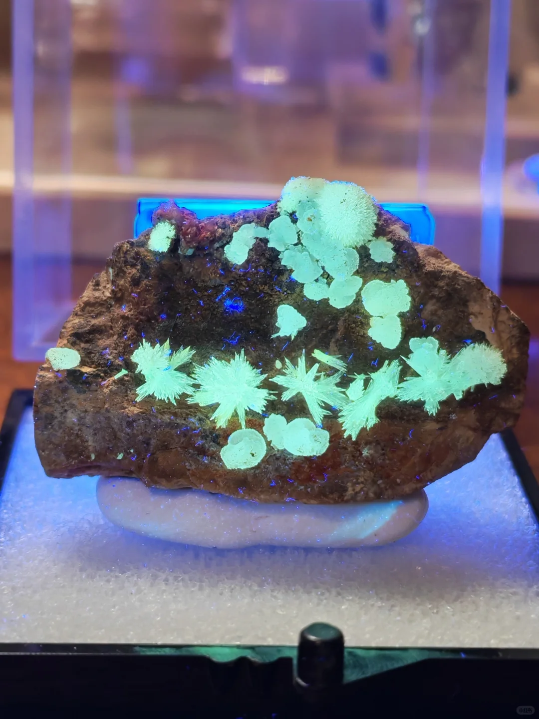 2025年矿标收藏分享⑥