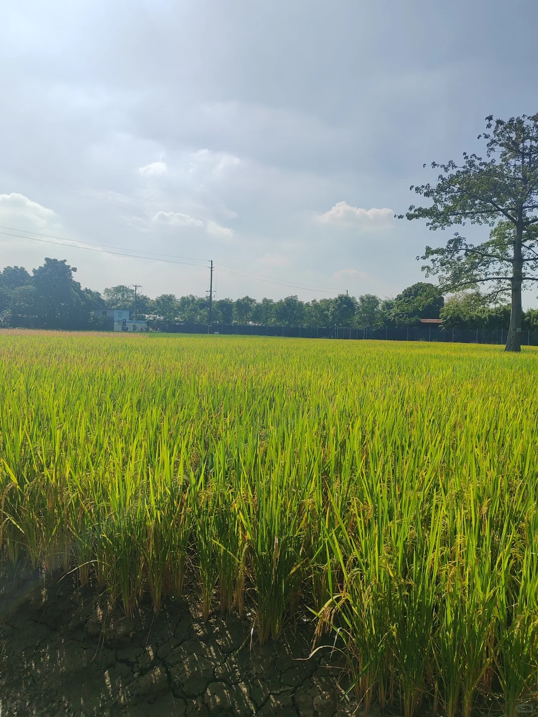 “听袁爷爷的话，好好吃饭，好好长大”