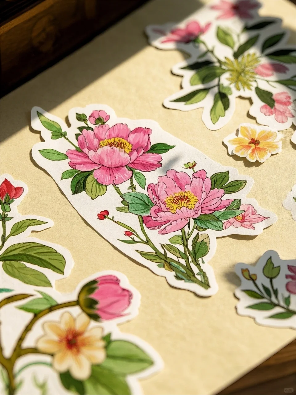 春天到了,让纸间心跳,与你同频✨