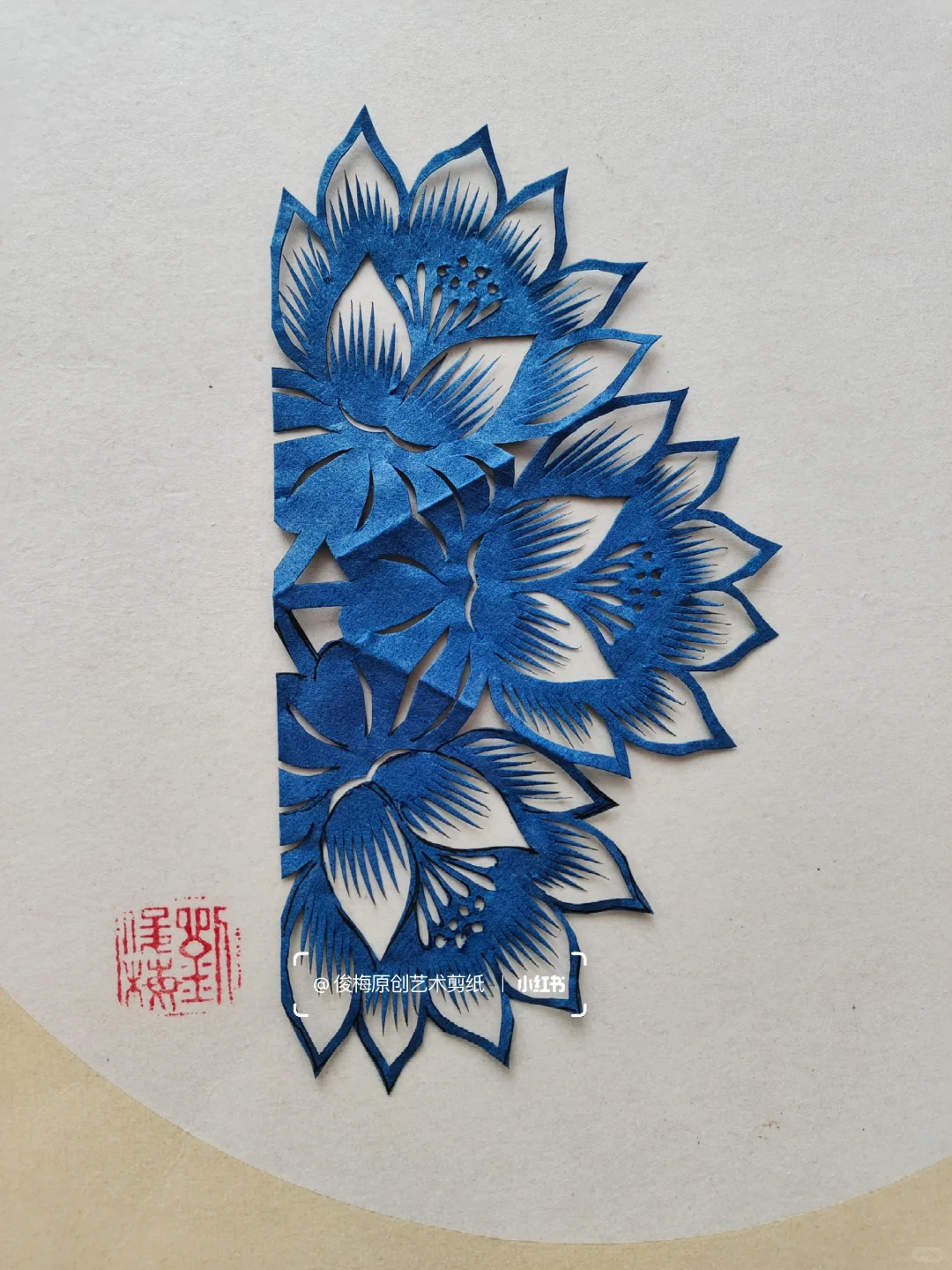 每日一剪｜夏之荷